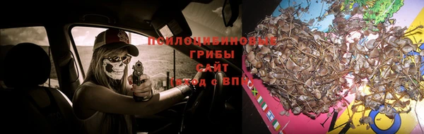 кокаин Заводоуковск