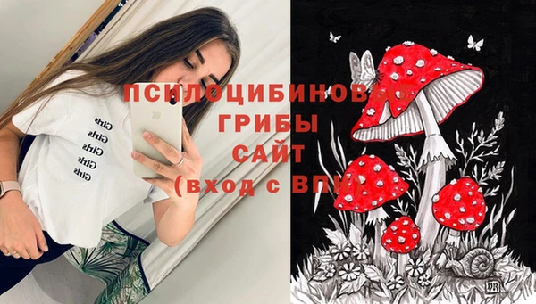 трава Заволжье