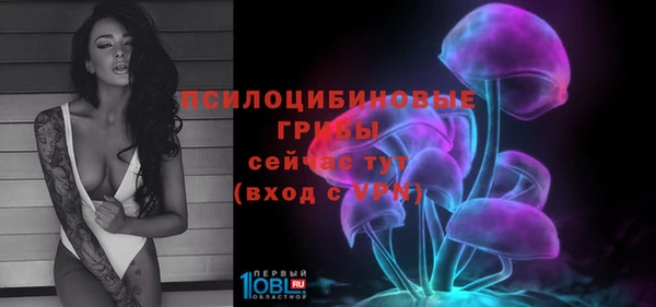 трава Заволжье