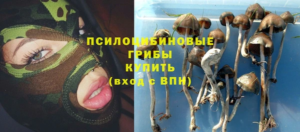 спиды Заволжск