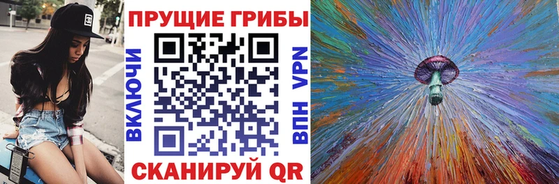 Псилоцибиновые грибы ЛСД  Купить где  Гудермес 